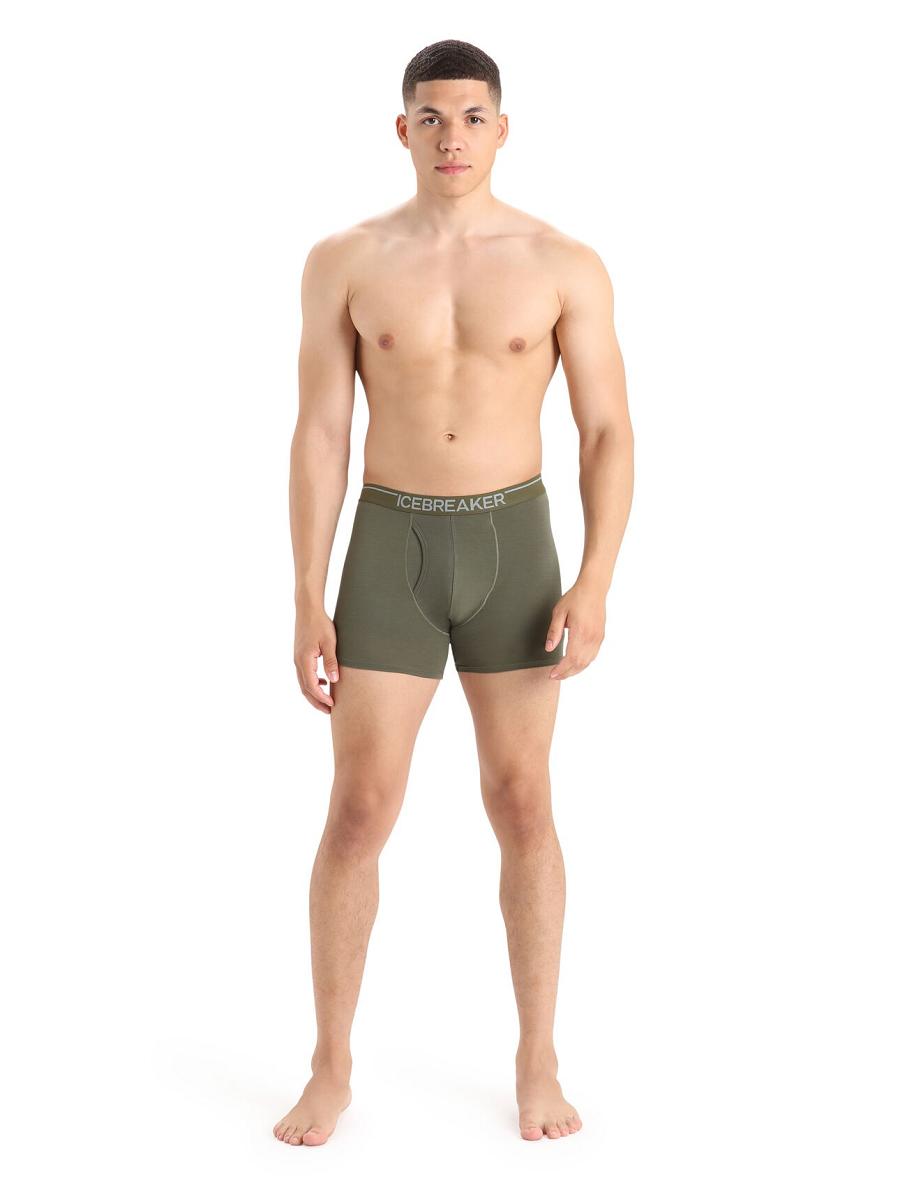 Loden Men's Icebreaker Merino Anatomica Boxers With Fly Underwear | USA 1305AHKP